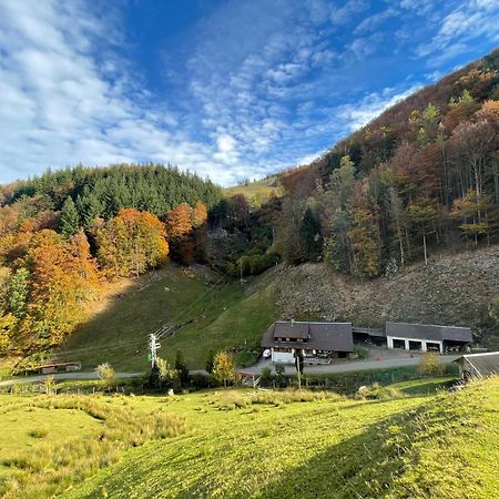Bauernhaus Im Мюнстерталь Экстерьер фото