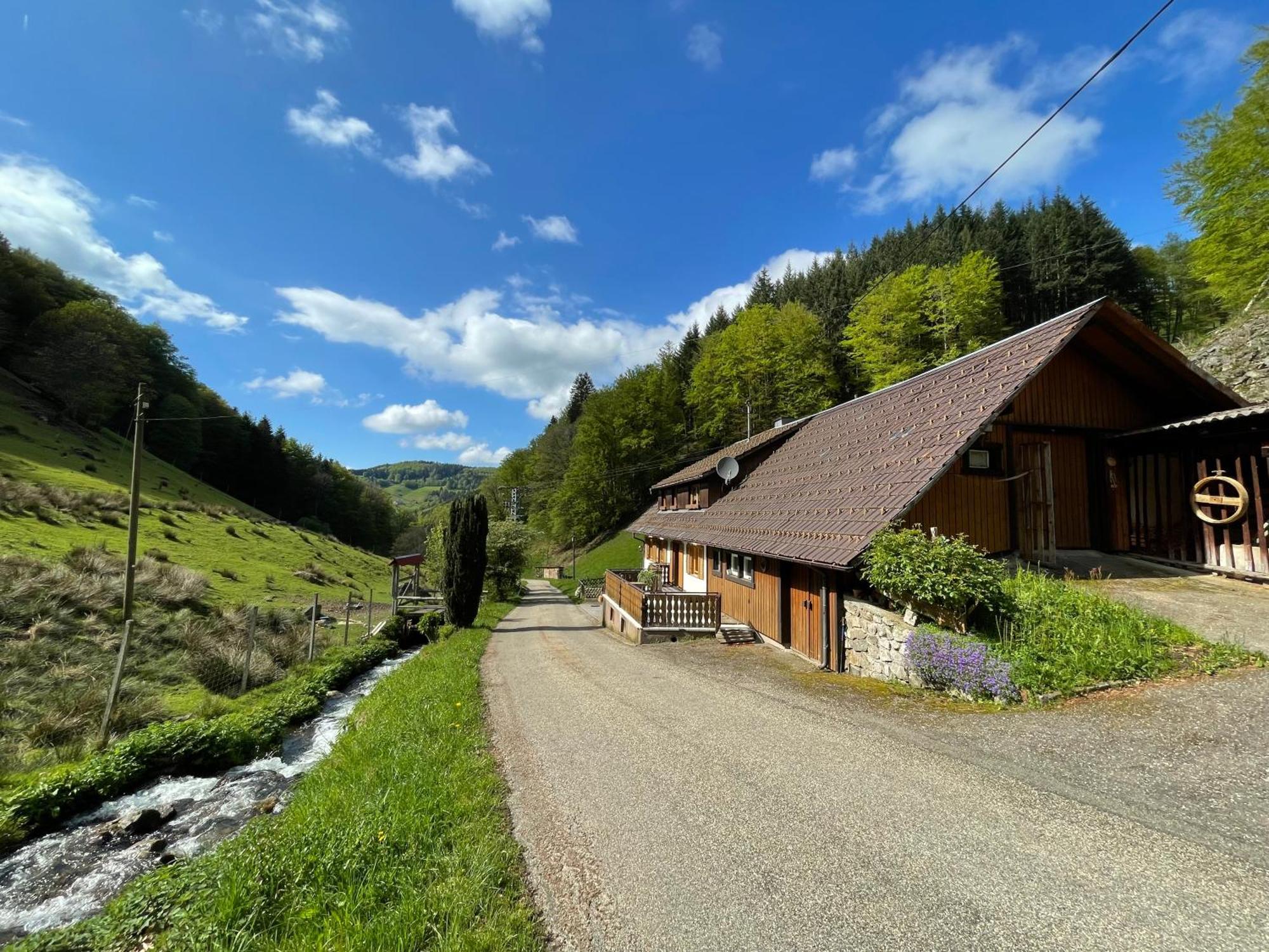 Вилла Bauernhaus Im Мюнстерталь Экстерьер фото