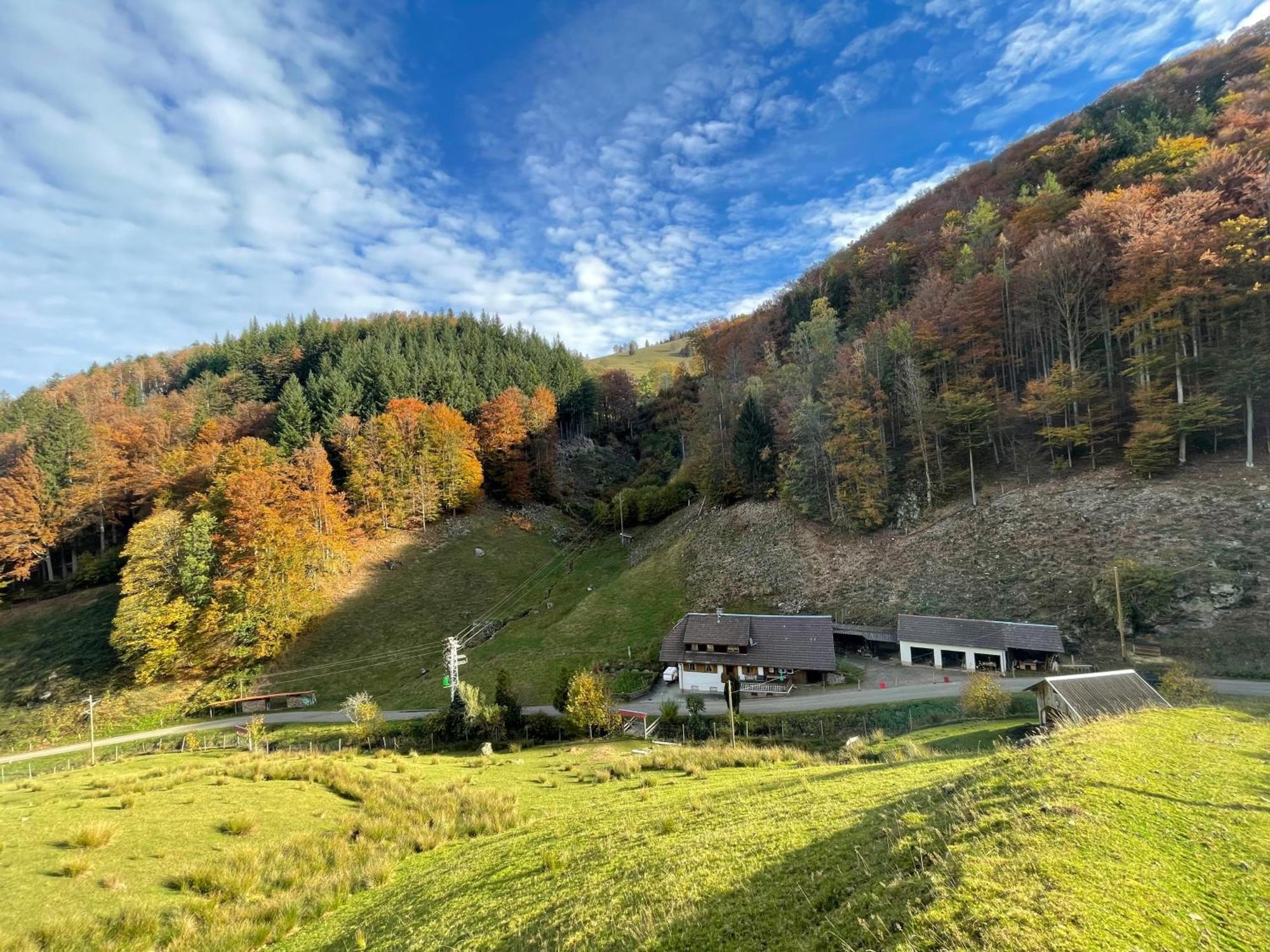 Вилла Bauernhaus Im Мюнстерталь Экстерьер фото